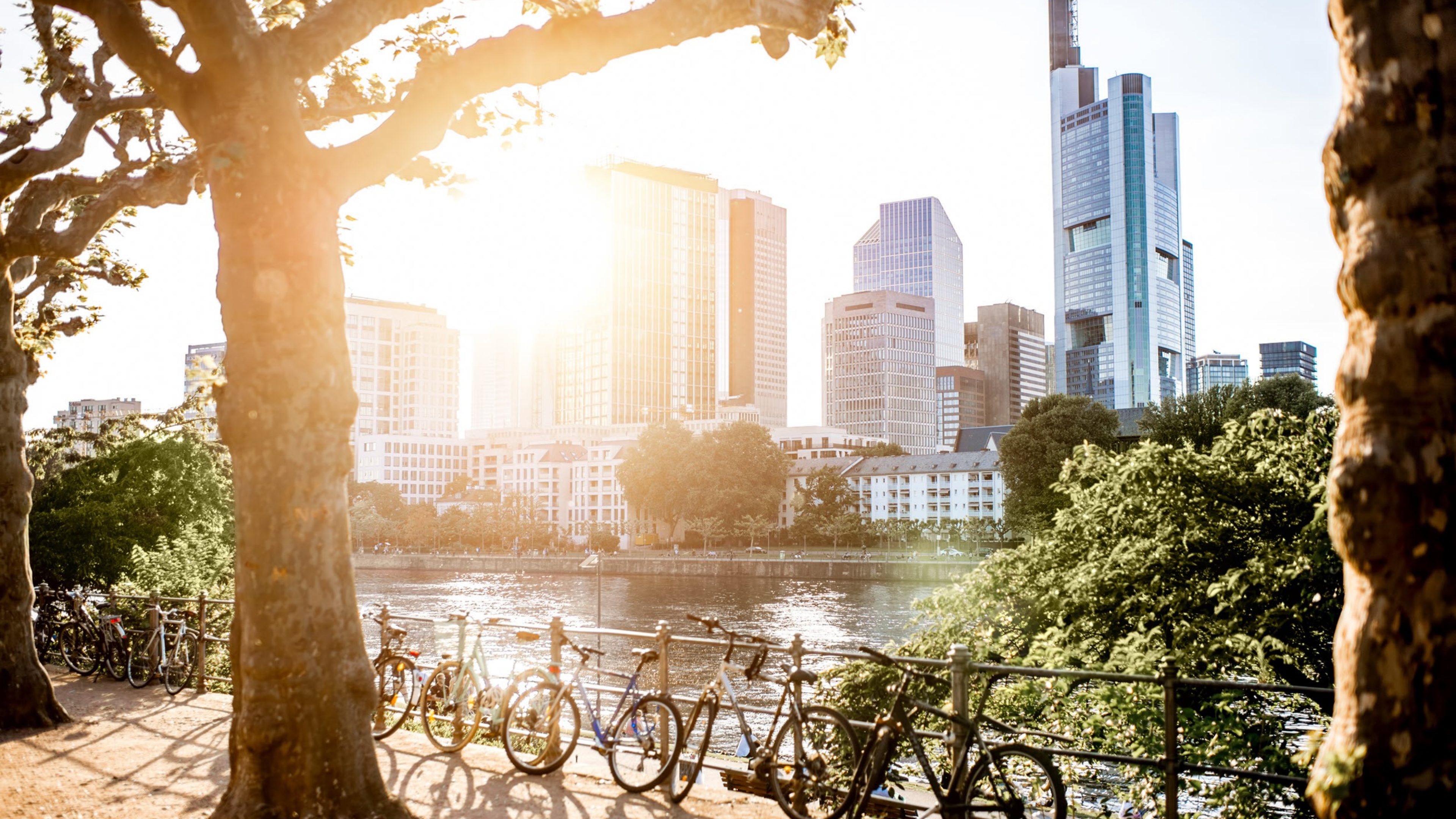 Swiss Life Asset Managers, Nachhaltigkeit, Stimmungsbild, Vertrauen, Zuversicht, Blick in die Zukunft