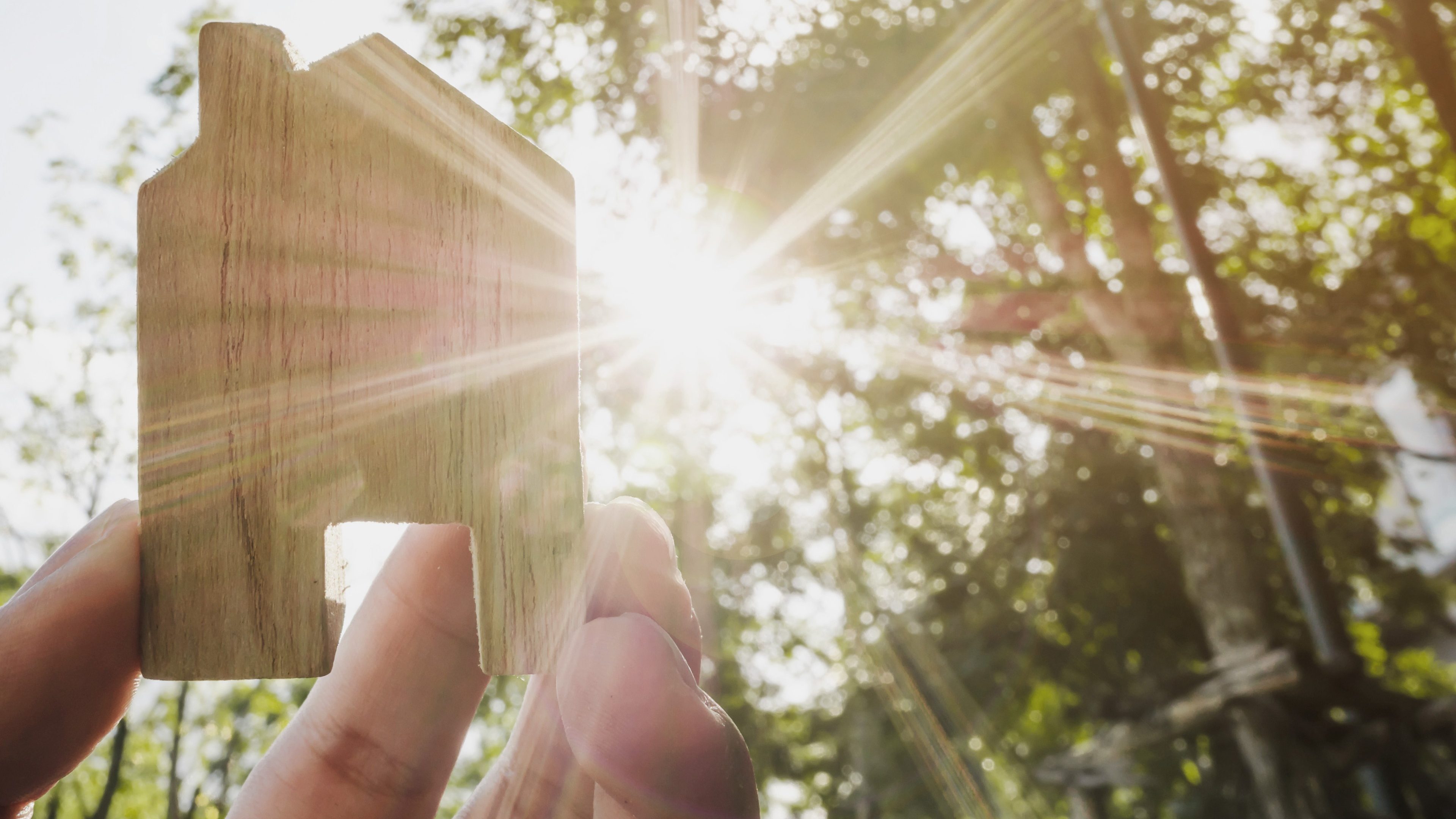 Hand holding wooden house with green forest background blurred and sun lighting