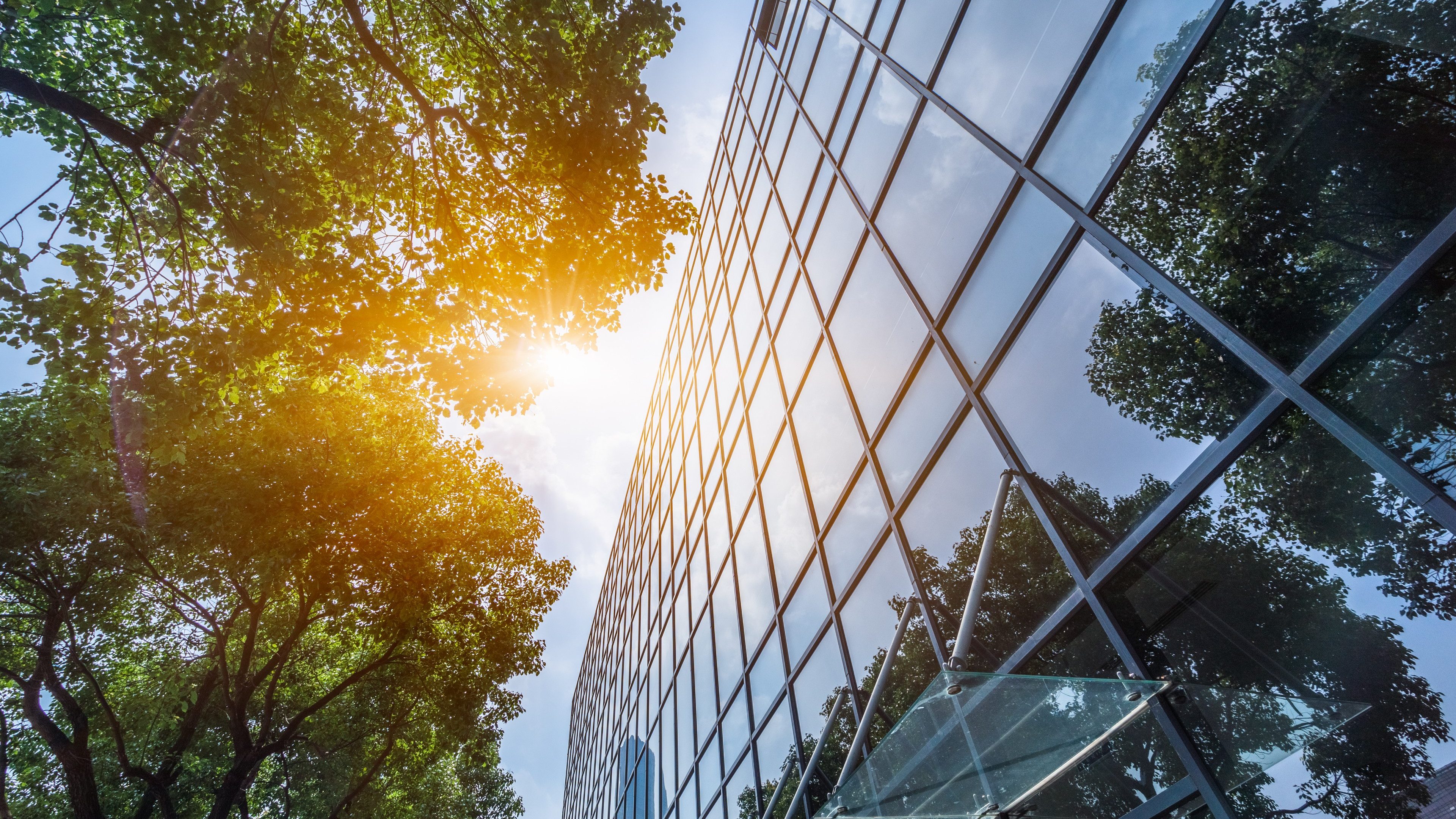 modern office building with green leaves
