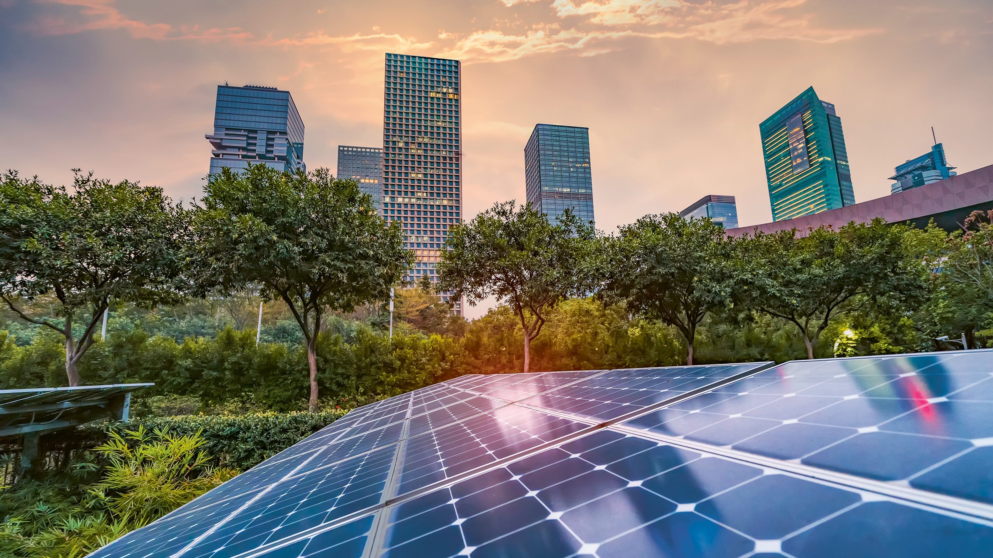 A solar energy plant with trees and buildings in the background..