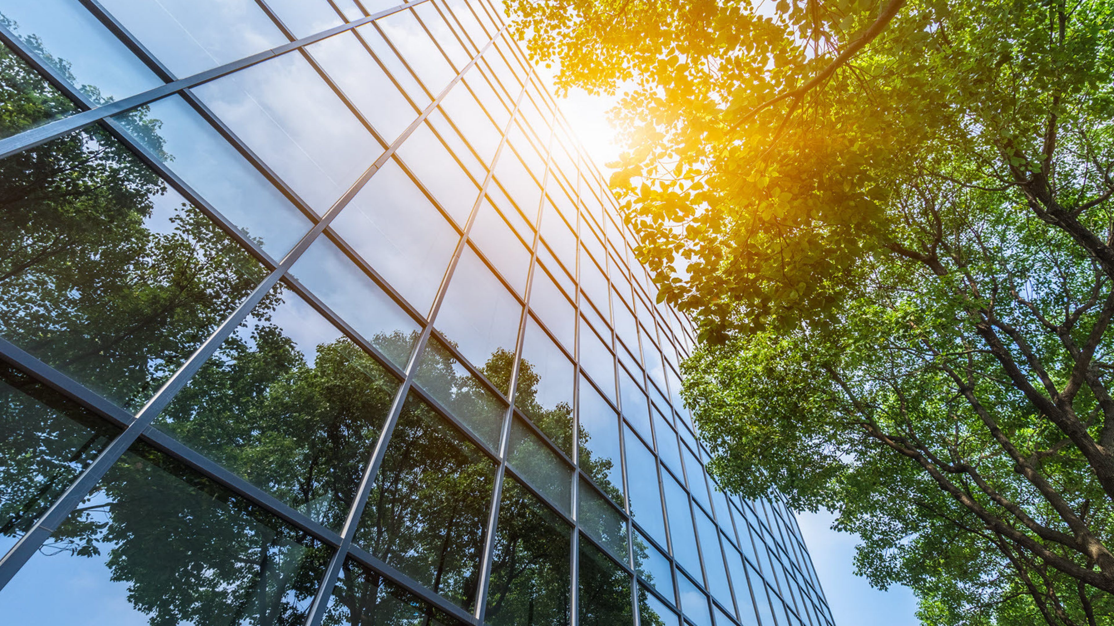 green-buildings-real-estate