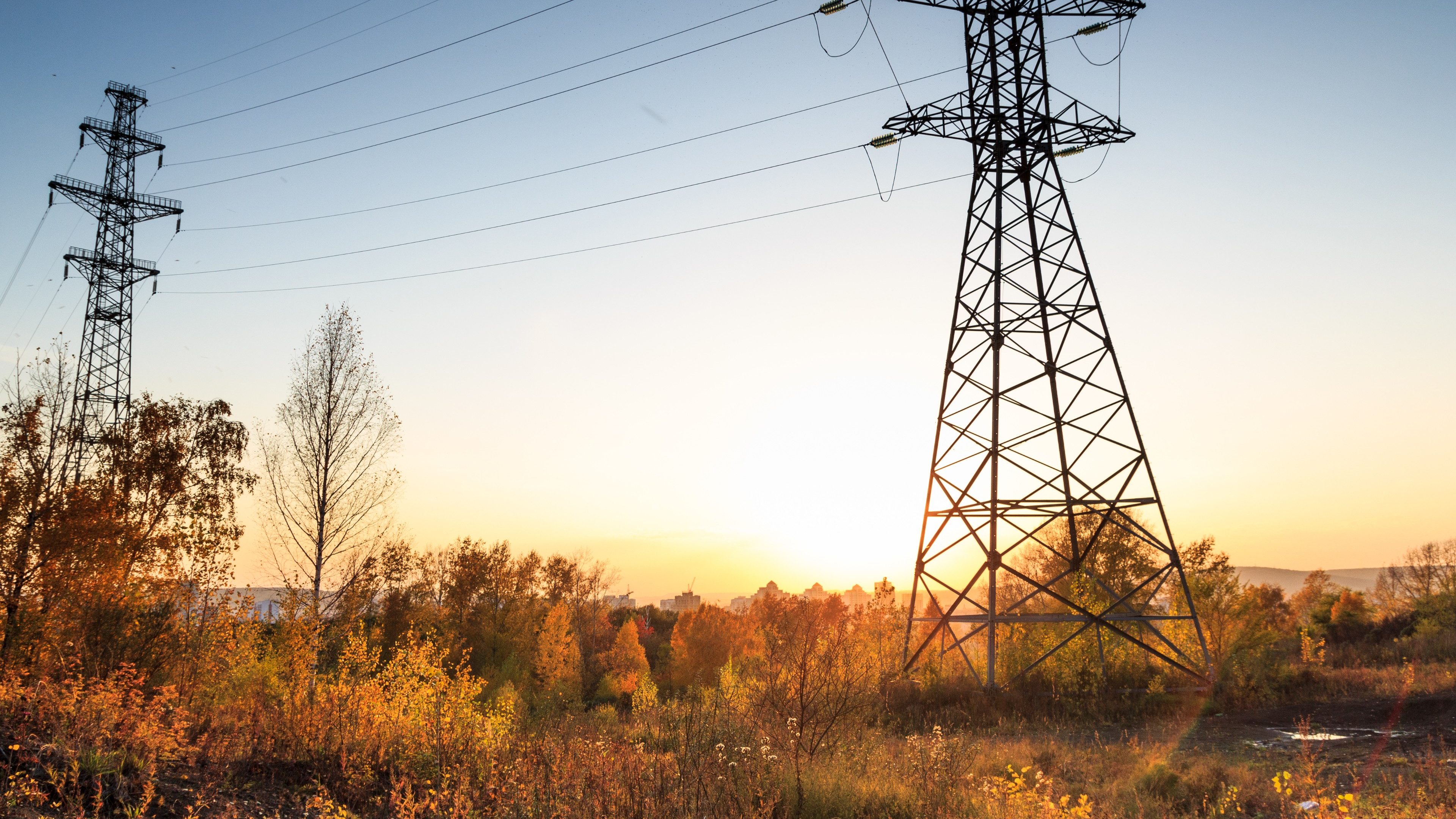 Electric transmission lines in the forest