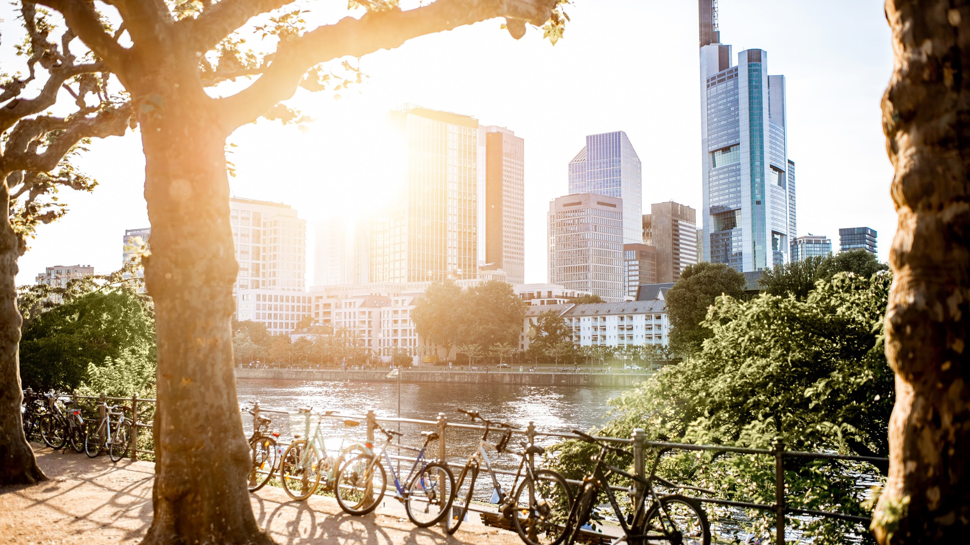 View on the financial district with Main river and park during the sunset in Frankfurt city, Germany