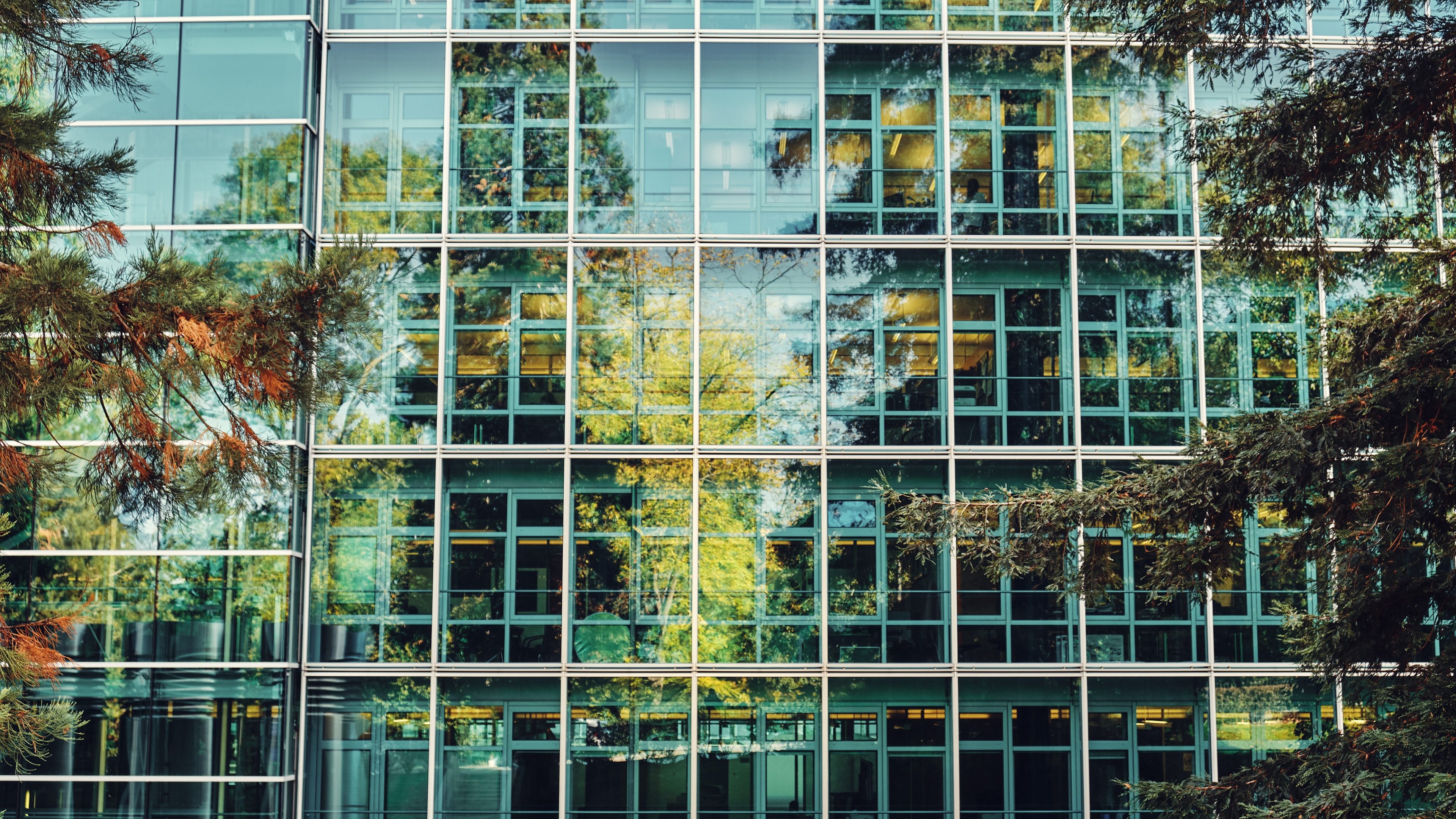 A building with a glass wall reflecting trees. As the background.